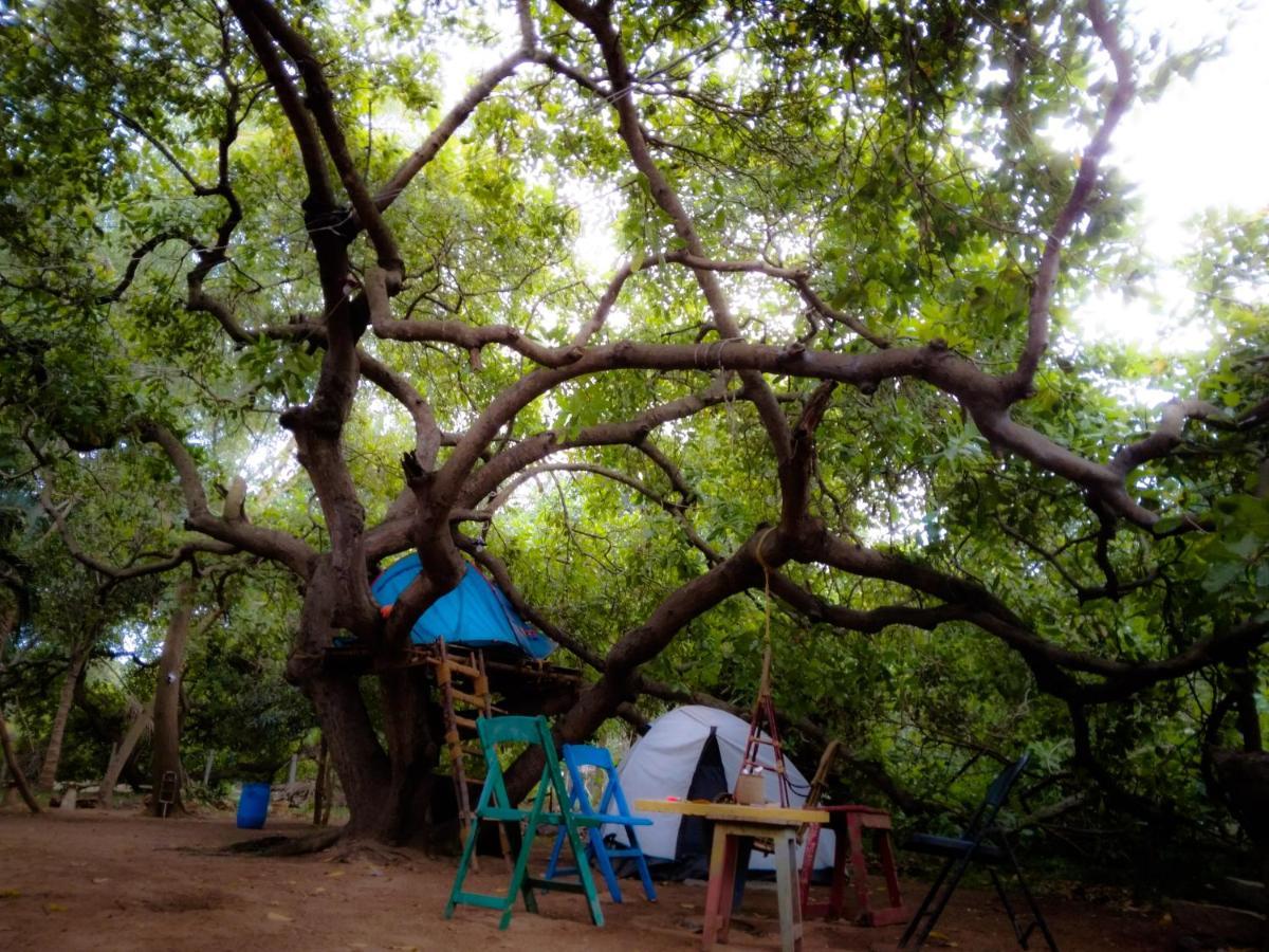 הוסטל אורוויל Peace Garden מראה חיצוני תמונה